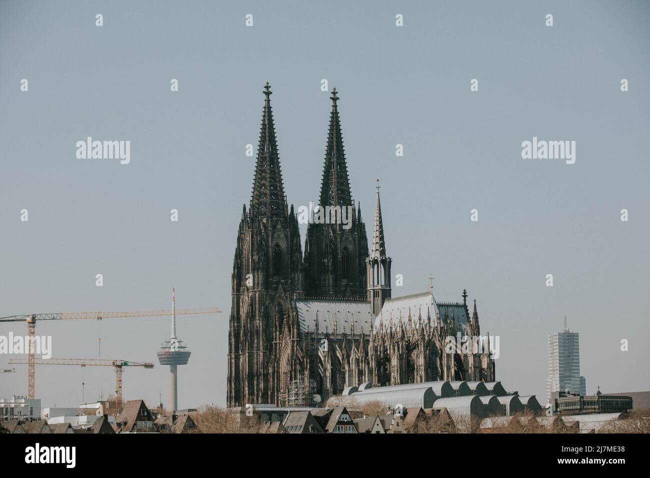 Kölner Dom (Cologne Cathedral) with construction cranes Stock Photo