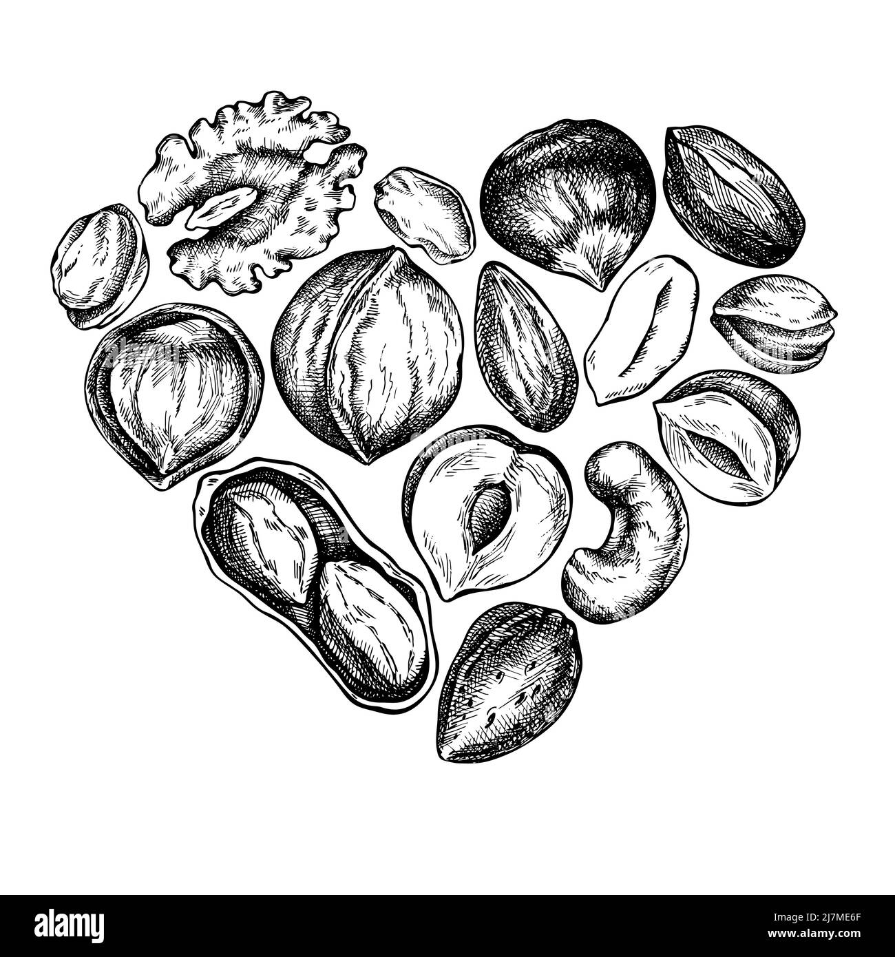 Heart design with black and white cashew, peanut, pistachio, etc. Stock Vector
