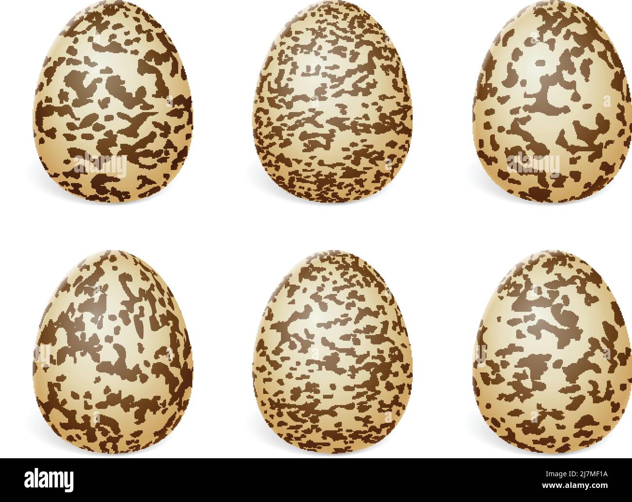 Quail eggs on a white background. Vector illustration. Stock Vector