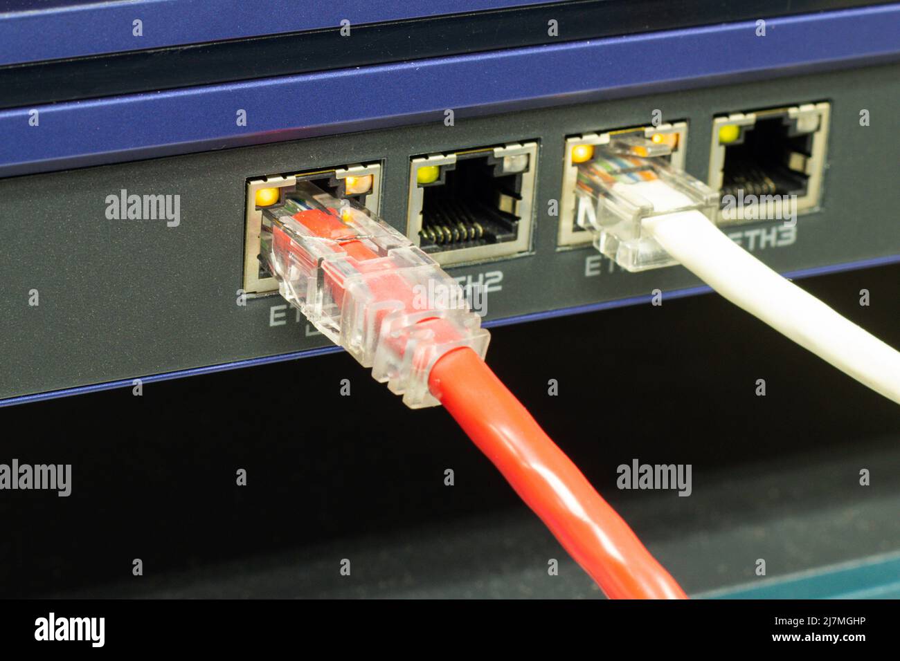 The network cables to connect the port of a switch to connect