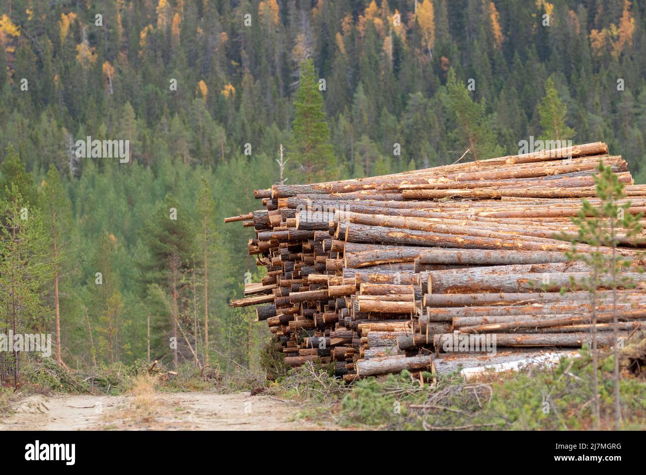 Finnish logs hi-res stock photography and images - Alamy