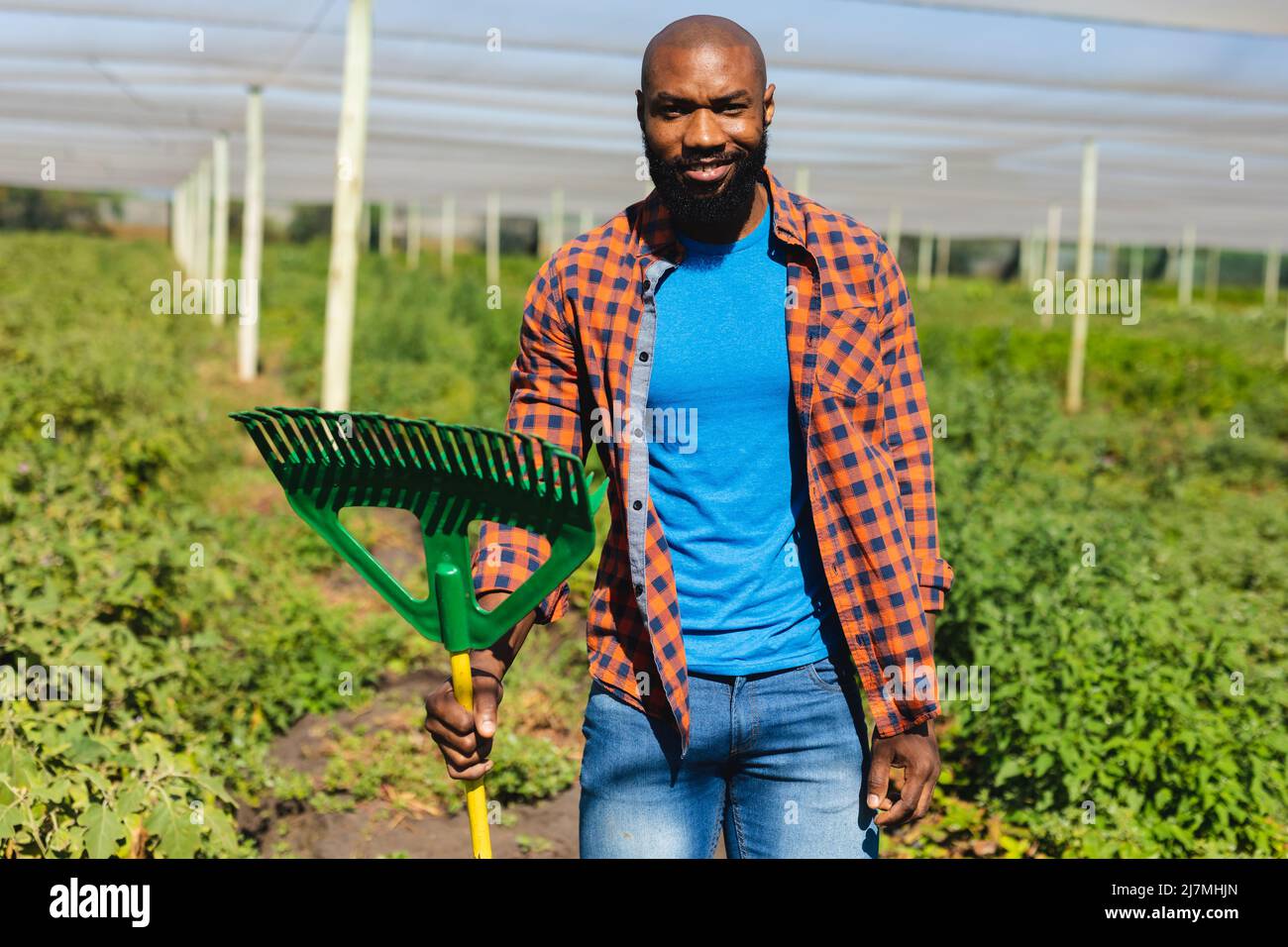 Portrait of smiling african american mid adult bald farmer with pitchfork standing in greenhouse Stock Photo