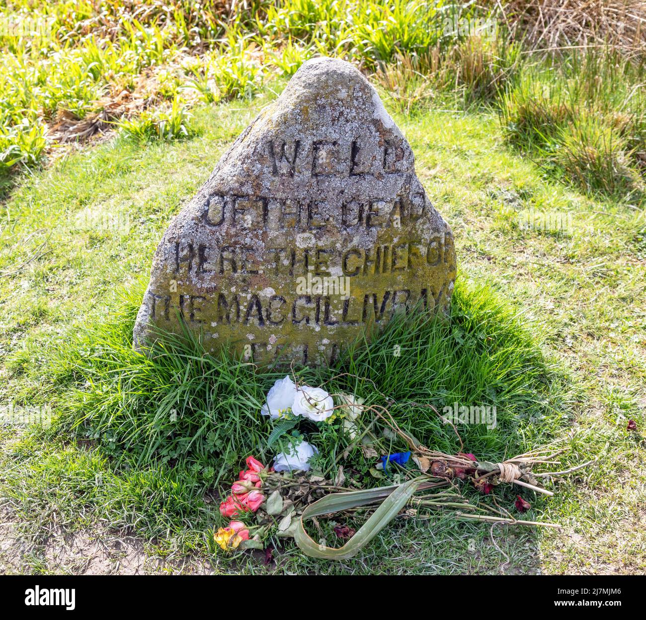 Macingtosh Burial Marker Battlefield of Culloden Moor Scotland Stock Photo