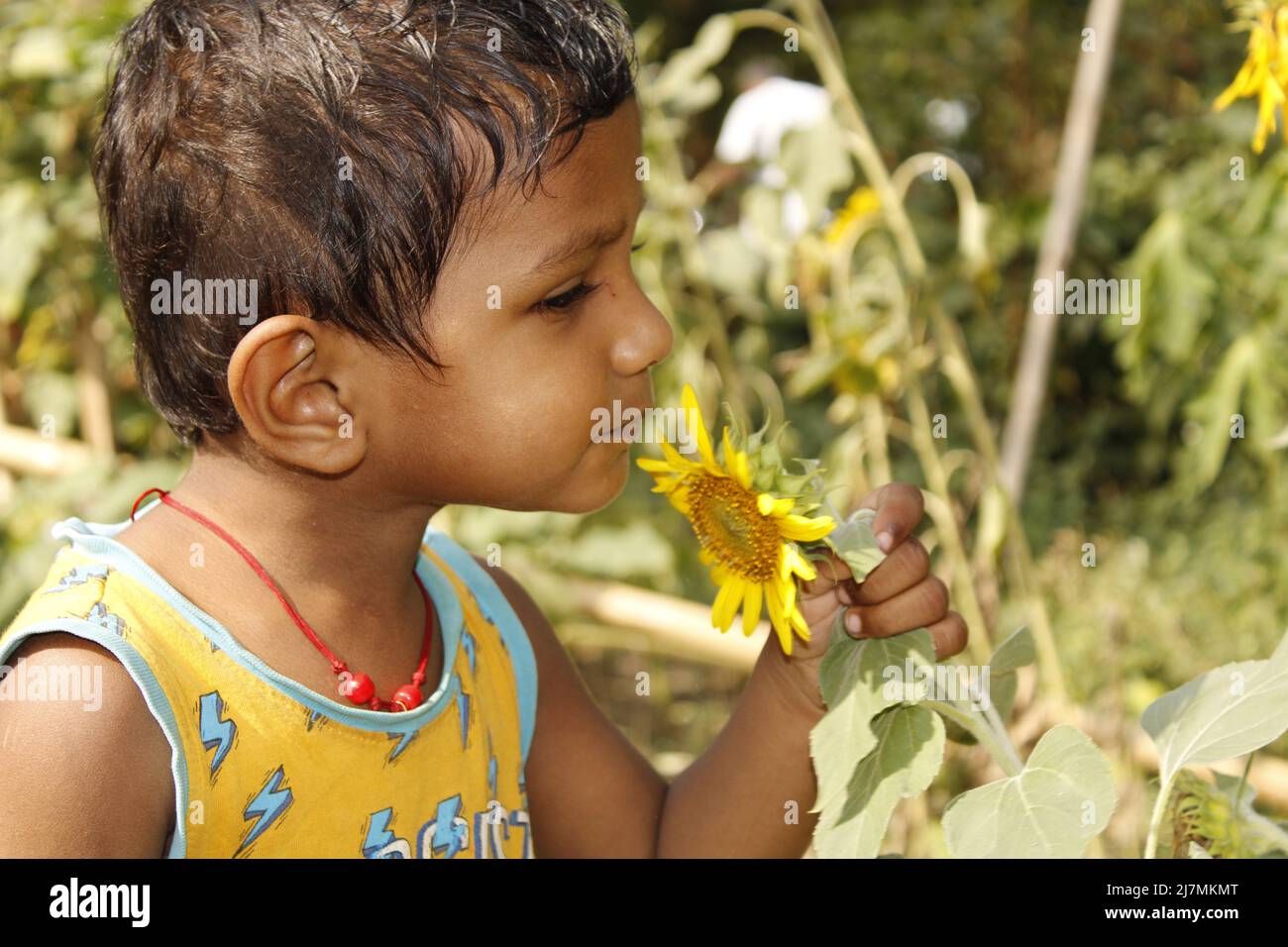 toddler boy sunflower shirt