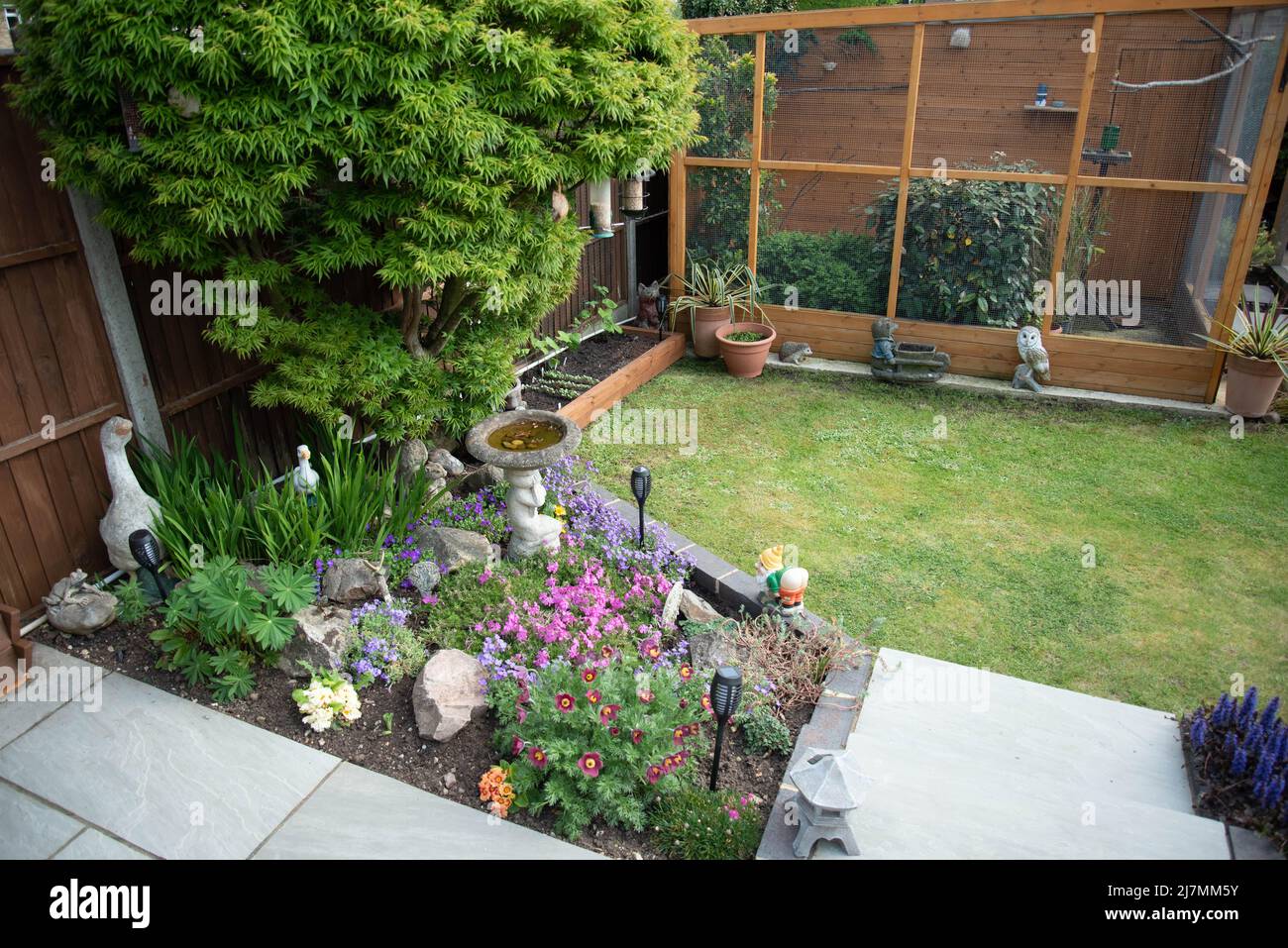 Different plant displays hi-res stock photography and images - Alamy
