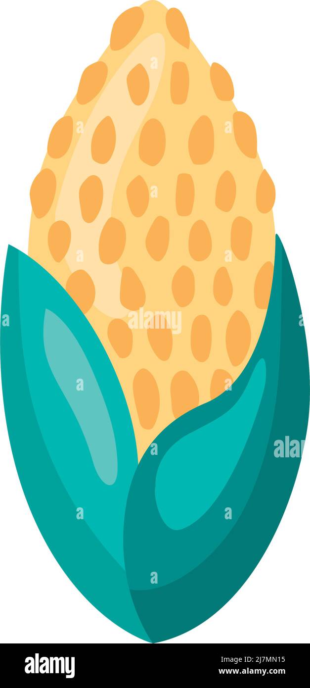 corn cob vegetable isolated icon Stock Vector Image & Art - Alamy
