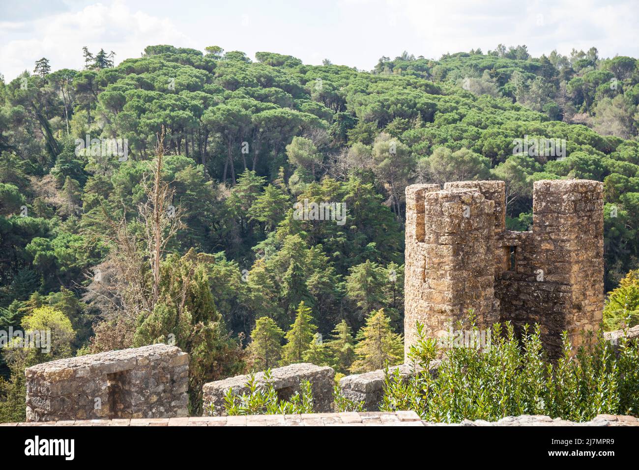 parts of the Monastery castle wall of Tomar with lots of trees around Stock Photo
