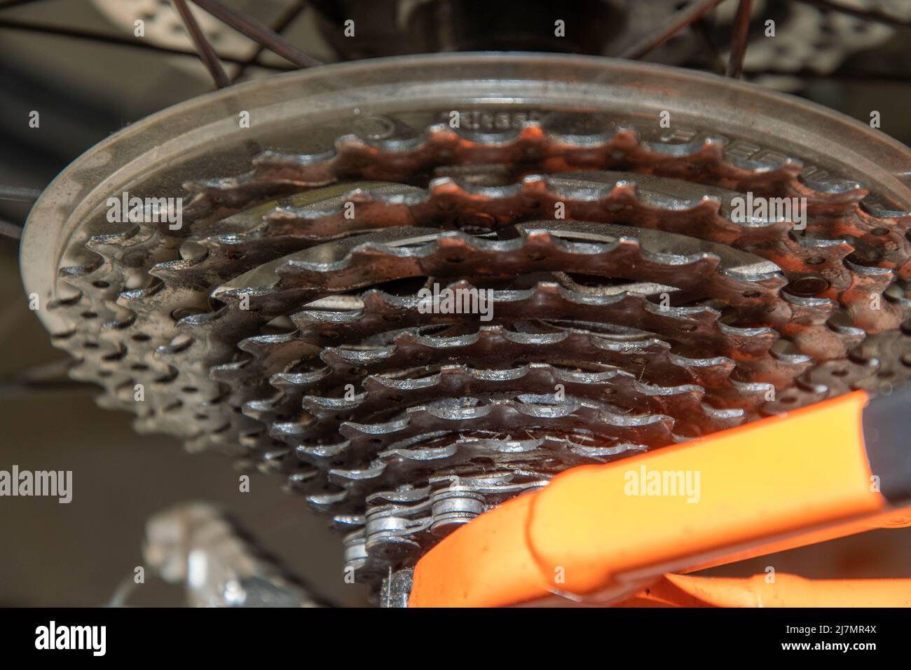 Bicycle sprocket on the rear wheel of the derailleur Stock Photo Alamy