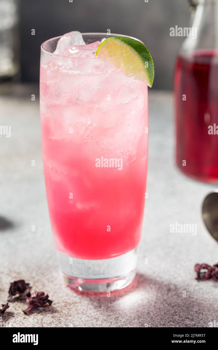 Boozy Cold Gin Hibiscus Highball Cocktail with Soda and Lime Stock Photo