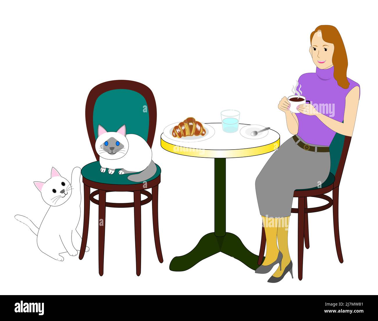 An elegant woman at Cat cafe with a white background: Birman cat, white cat, croissant, bread, Stock Photo