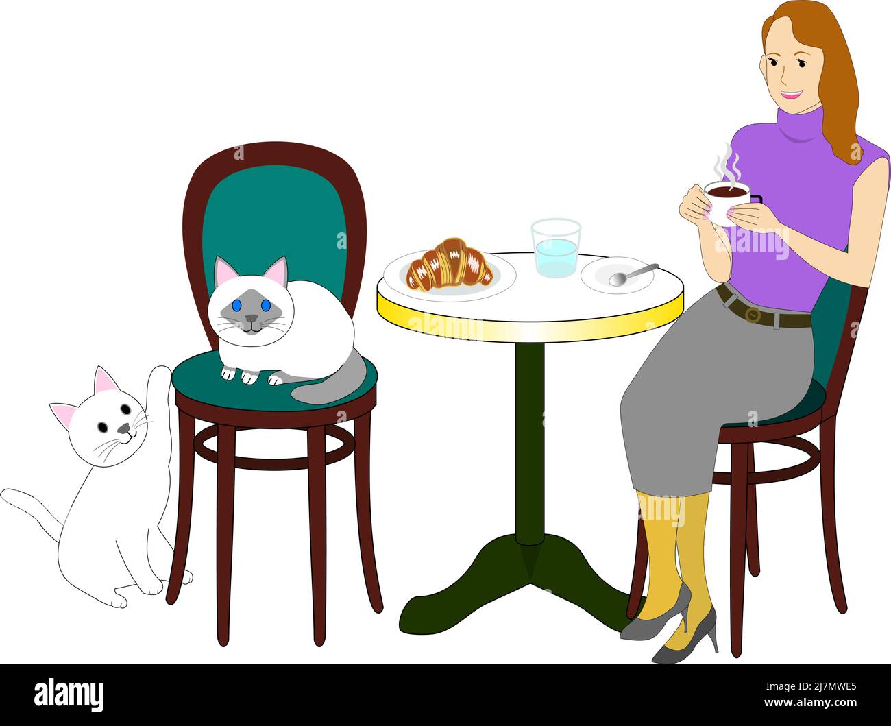 An elegant woman at Cat cafe with a white background: Birman cat, white cat, croissant, bread, Stock Vector