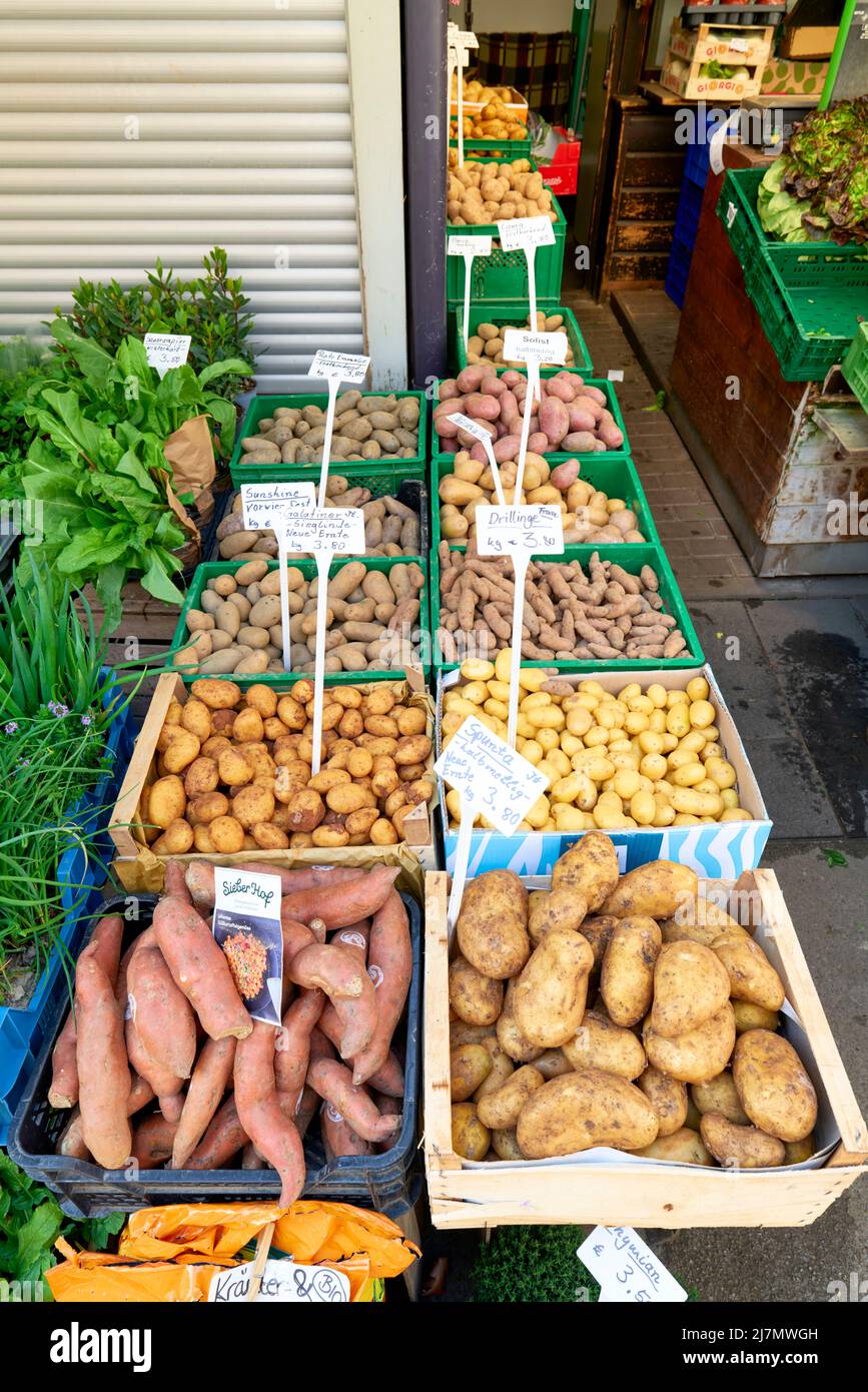 Germany Bavaria Romantic Road. Augsburg. Greengrocer selling different kinds of potatoes Stock Photo