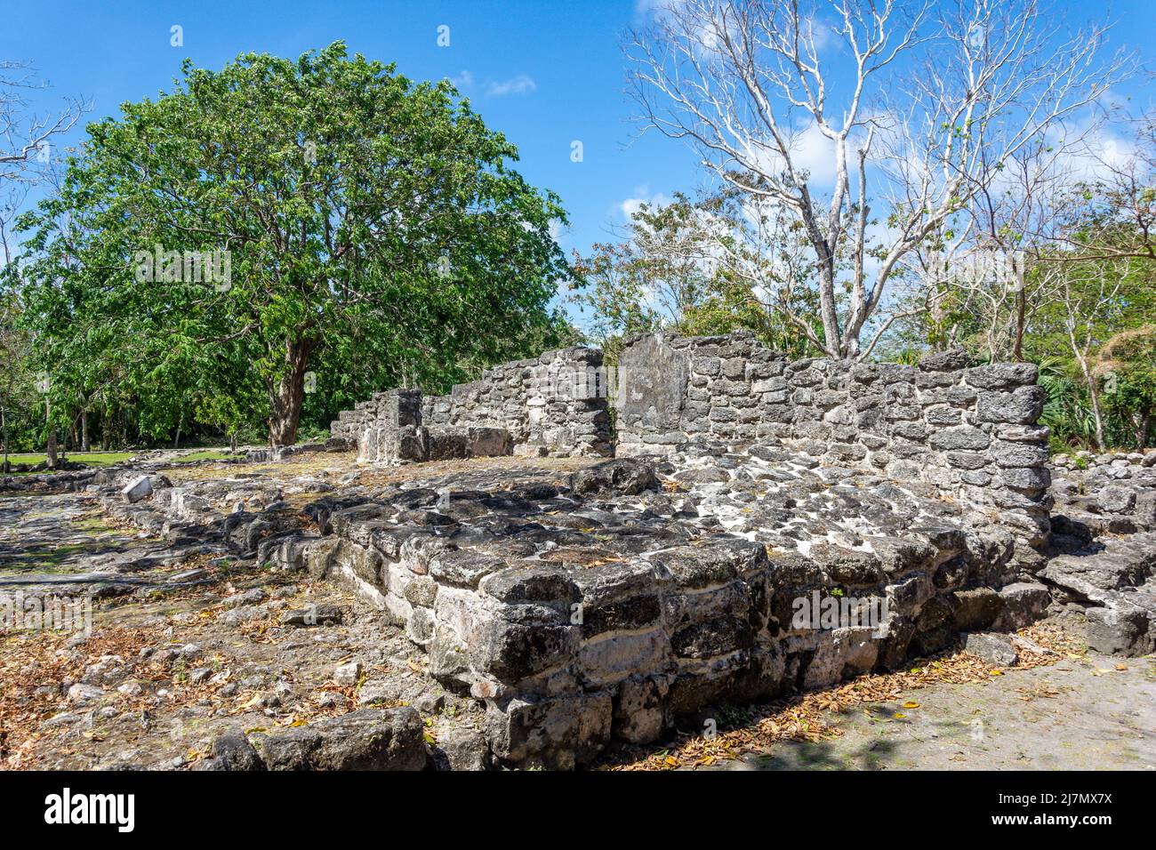 The Plaza, San Gervasio Maya archaelogical site, Cozumel, Quintana Roo, Mexico Stock Photo