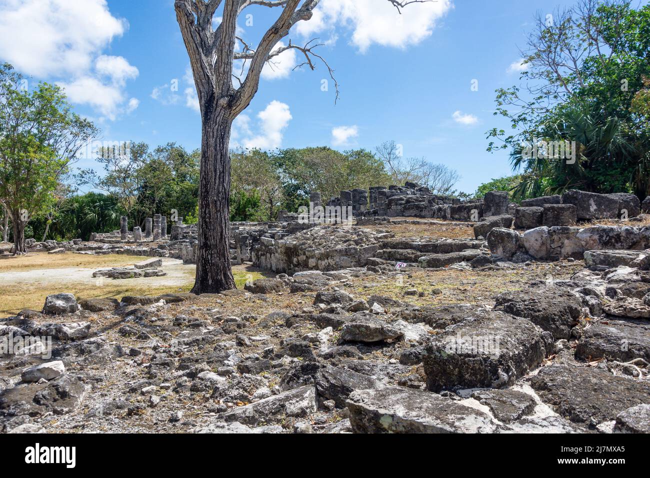 Central Plaza buildings (El Palacio), San Gervasio Maya archaelogical site, Cozumel, Quintana Roo, Mexico Stock Photo