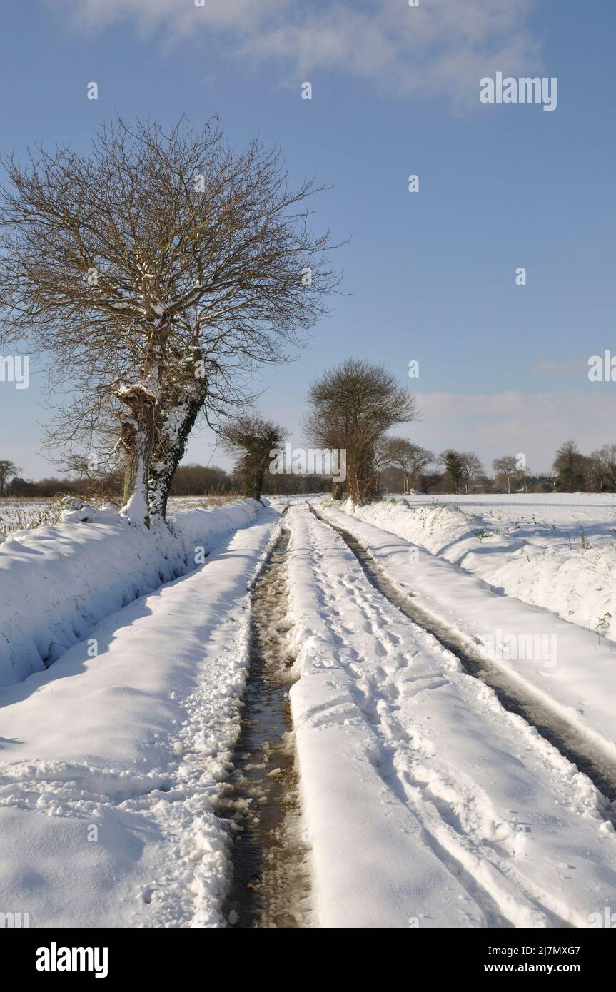 Path under the snow in Brittany Stock Photo Alamy
