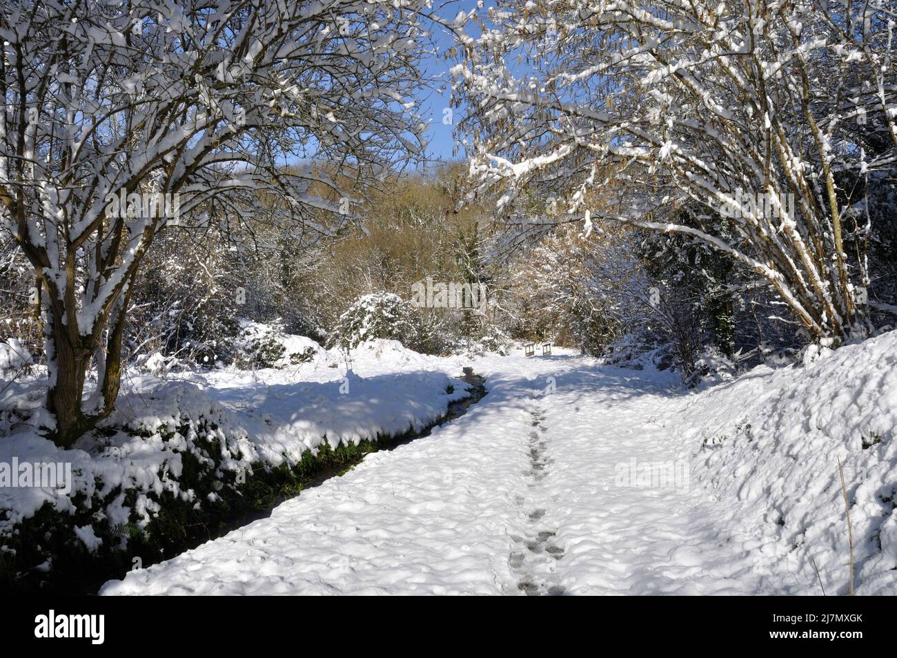 Path under the snow in Brittany Stock Photo Alamy