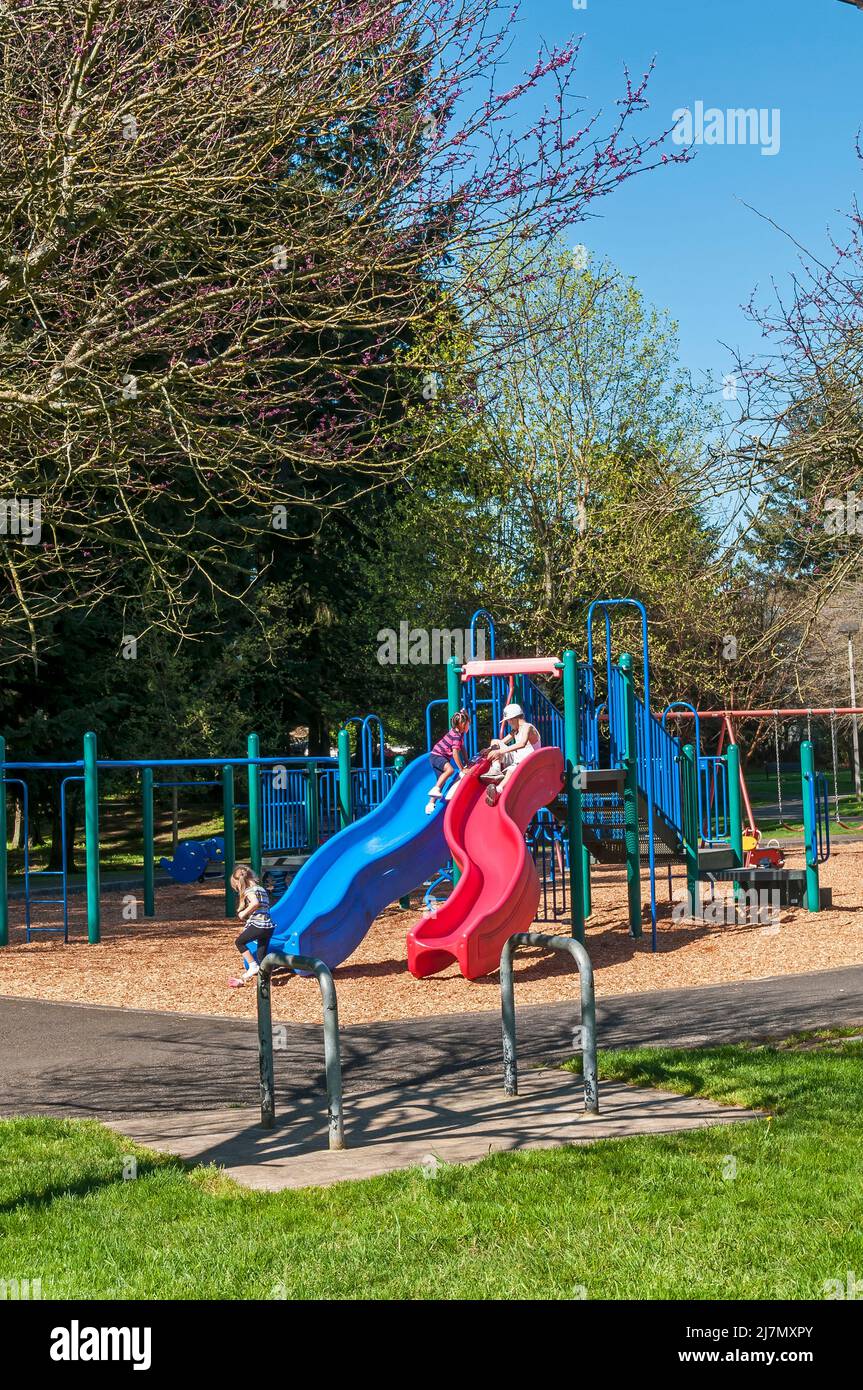 Red and blue plastic slides at Lincoln Park playground in Portland