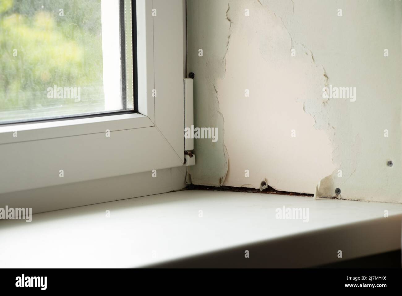 dirty window with a sill with mold from dampness, fungus on the window