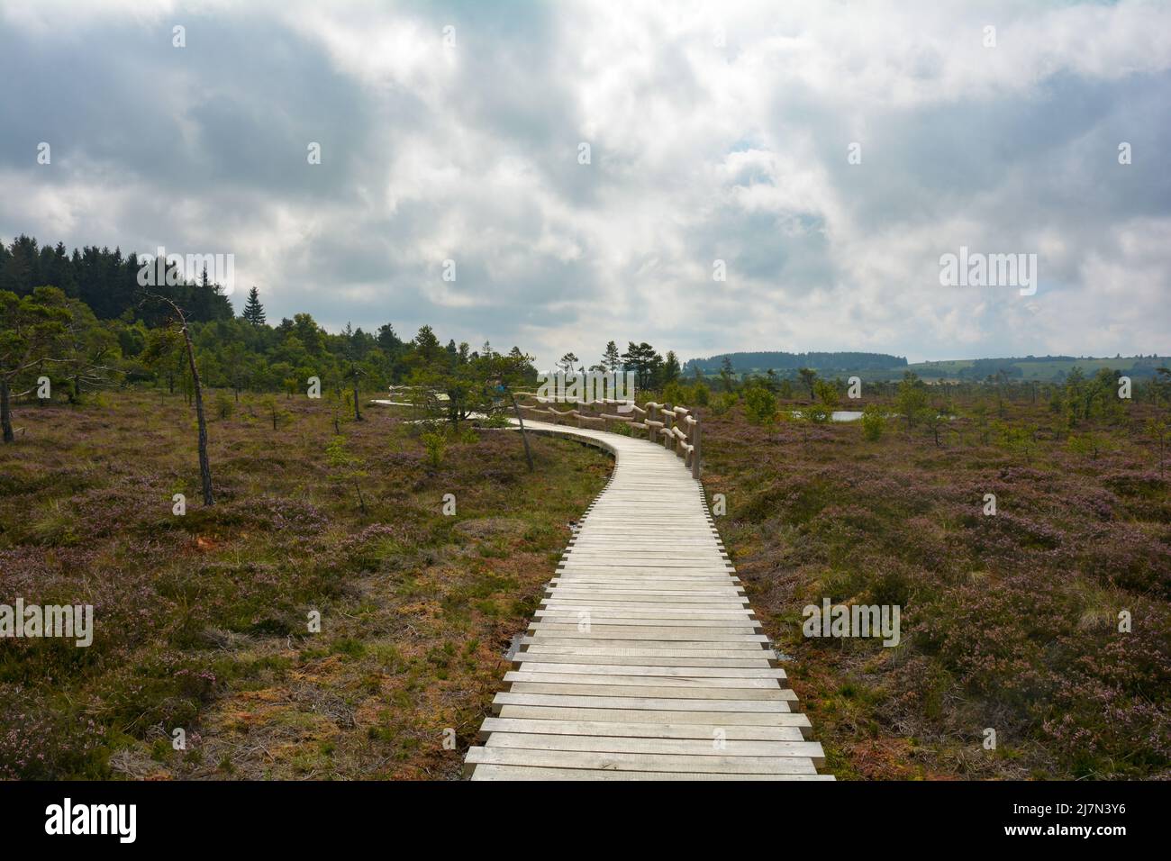 Black Moor in the Rhön, Bavaria, Germany, in autumn with a new wooden