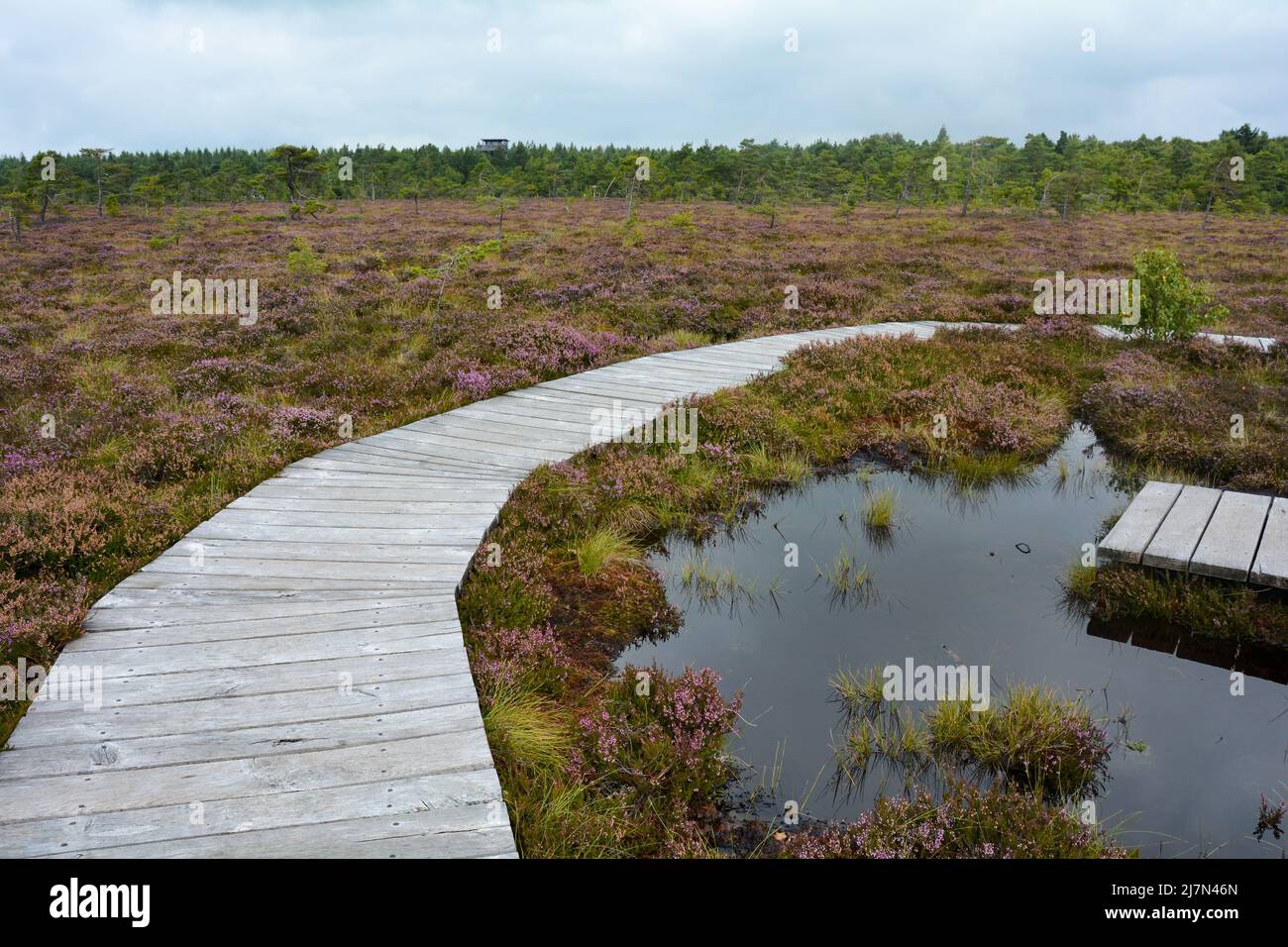 Black Moor in the Rhön, Bavaria, Germany, in autumn with a new wooden