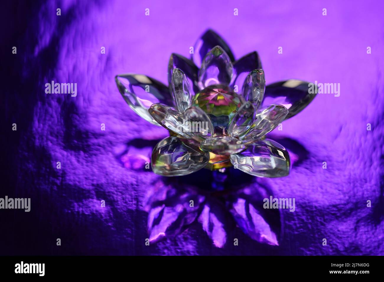 Crystal lotus on rich dark purple shiny table with light reflection