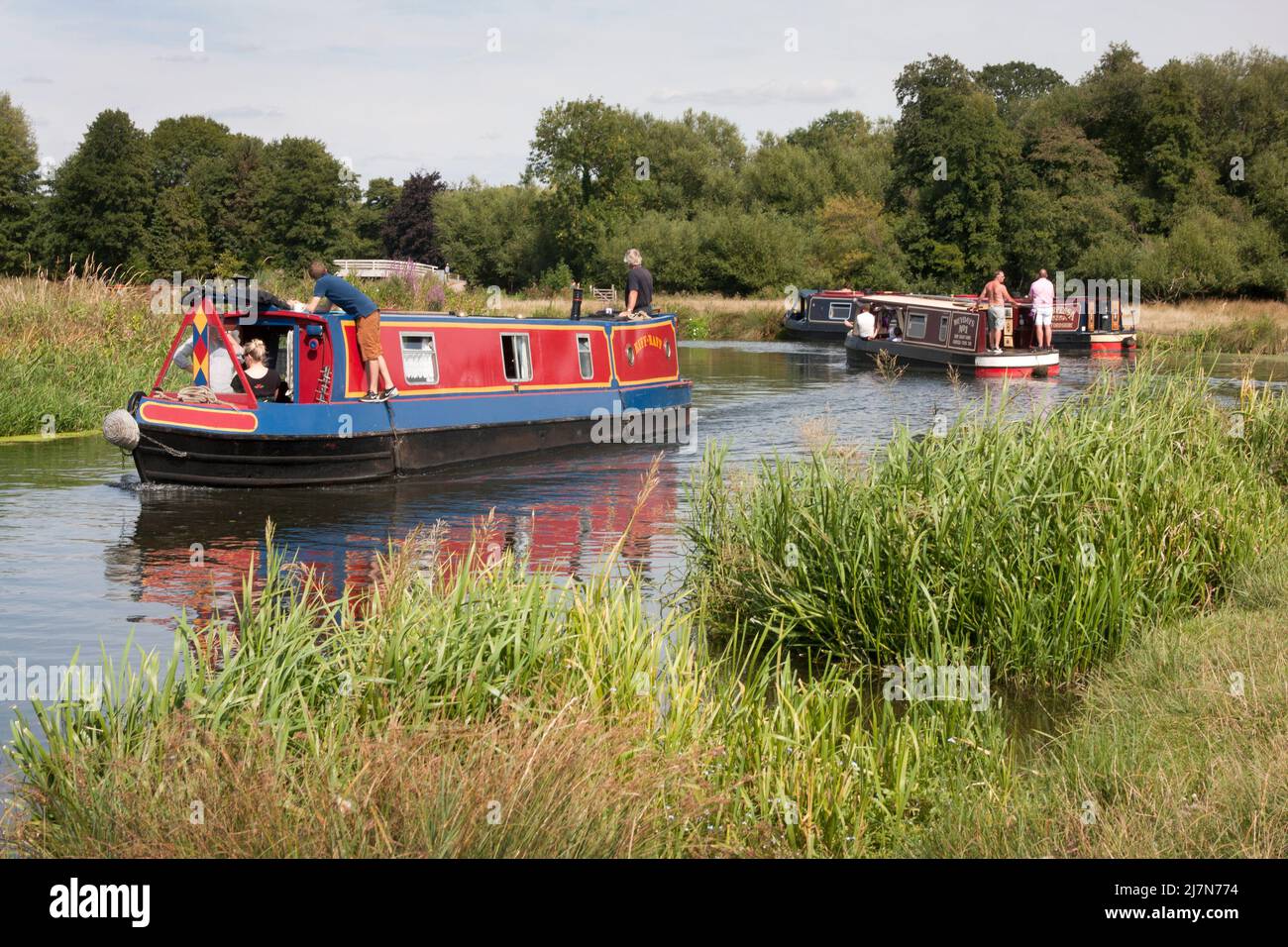 Wey navigation to Papercourt Lock, near Guildford, Surrey Stock Photo