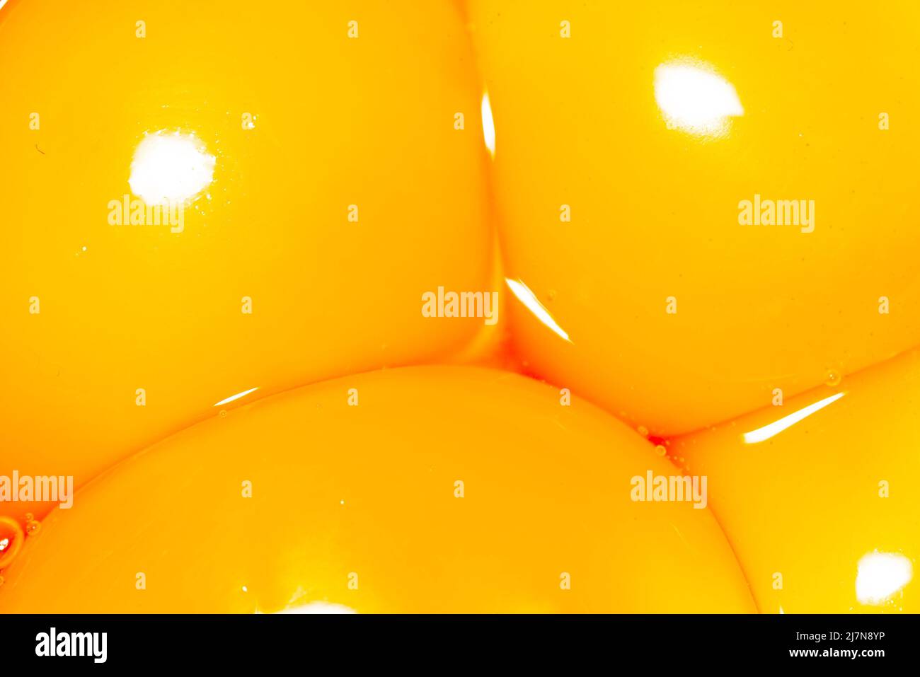 Closeup of egg yolks. Broken eggs and yolks next to each other. Smooth