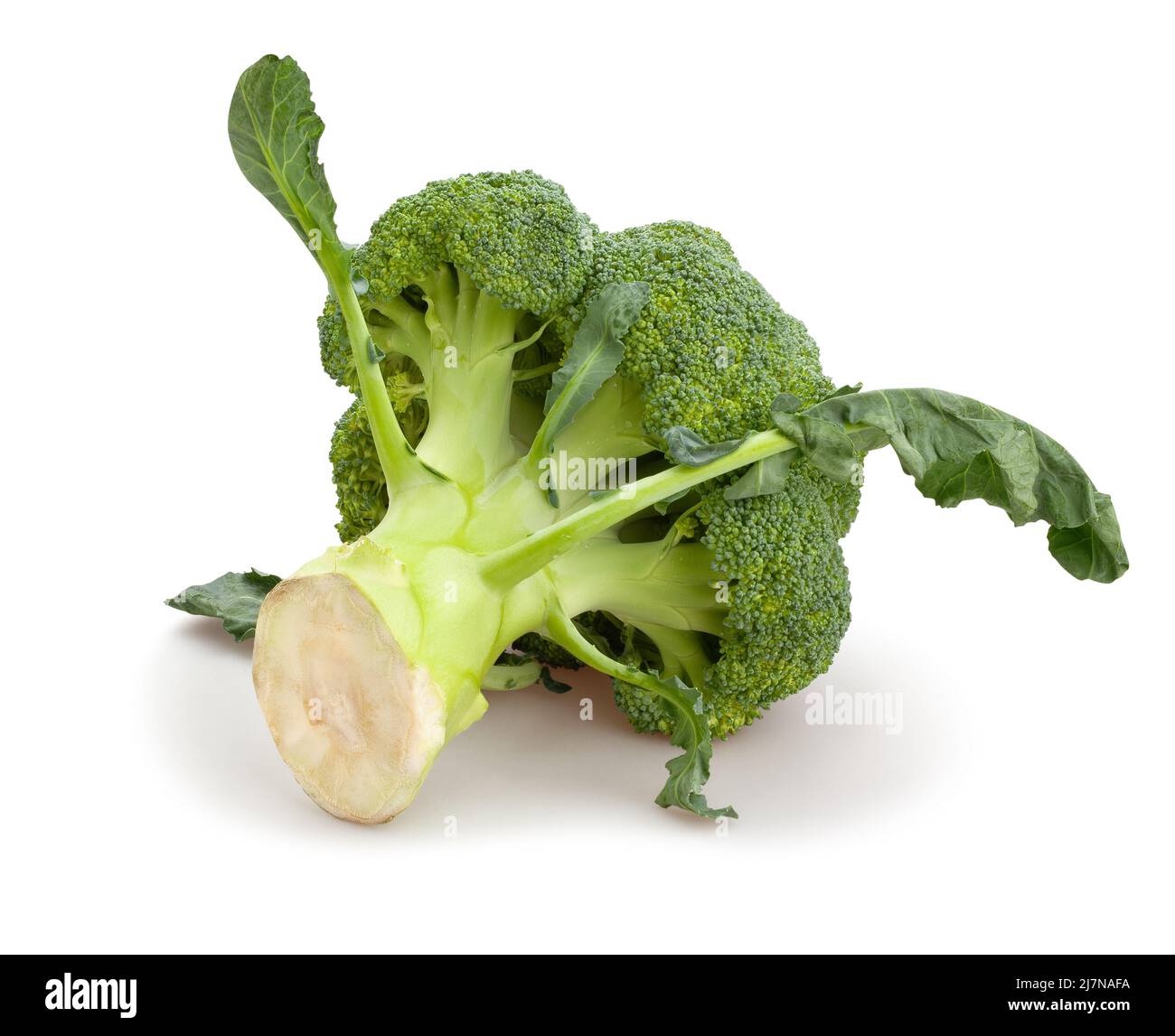 broccoli path isolated on white Stock Photo