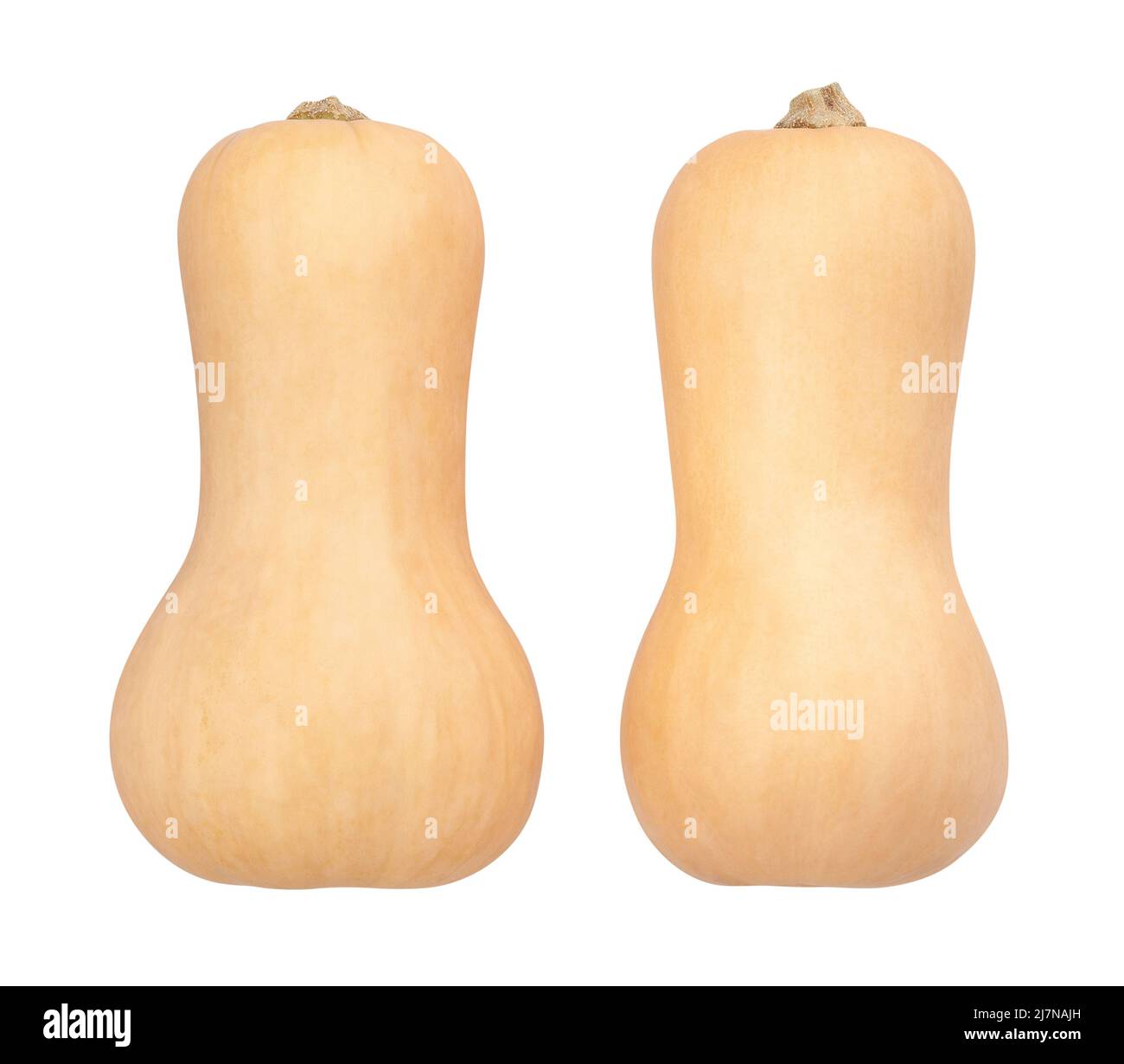 butternut squash path isolated on white Stock Photo