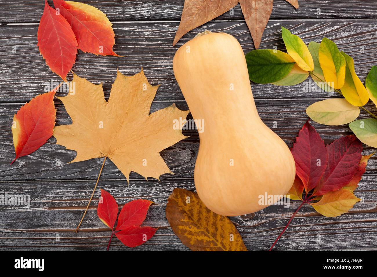 squash and autumn leaves on wood background top view Stock Photo