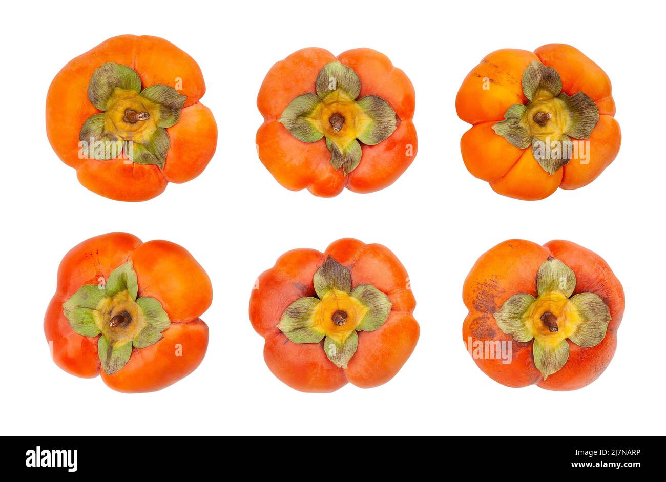 persimmon path isolated on white Stock Photo