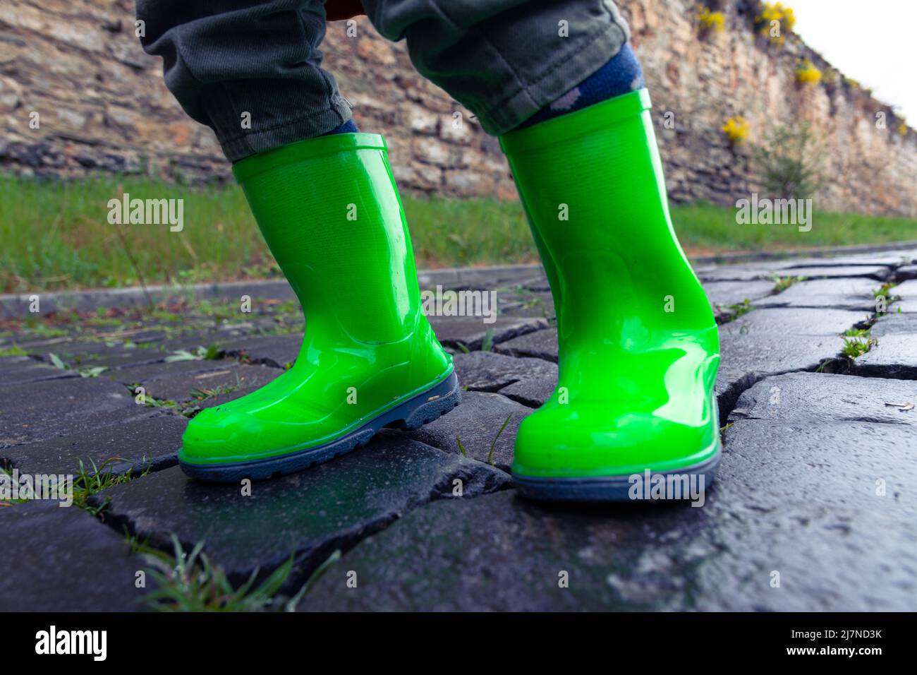 A small child in green rubber boots stands on a paved road. Photo of a child's feet in rubber shoes on the pavement after rain. Stock Photo