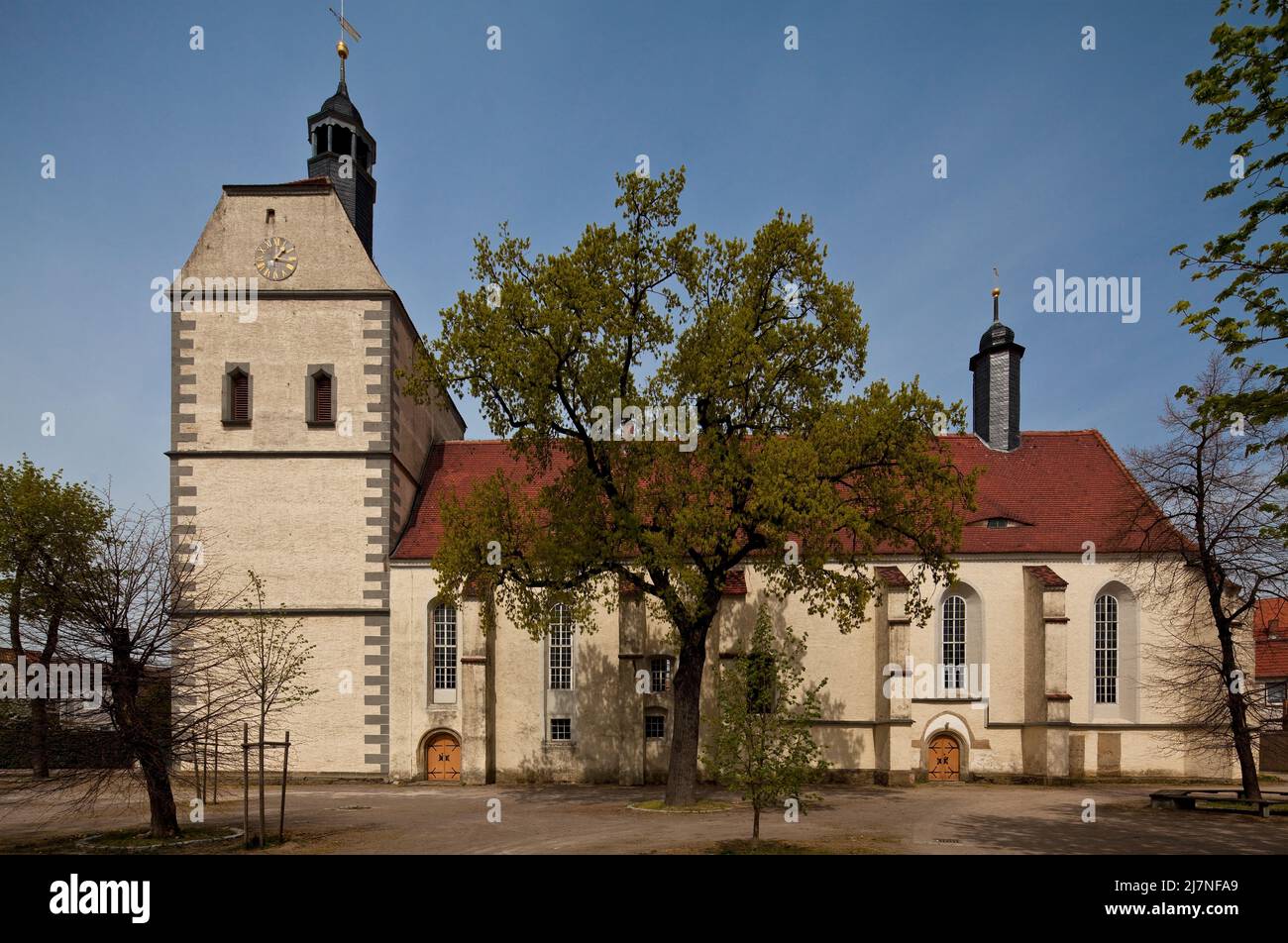 Mühlberg Elbe Stadtkirche St Marien 75380 Ansicht von Süden Saalbau errichtet 1487-1525 Westquerturm mit Dachreiter von 1691 Chordachreiter von 1537 Stock Photo