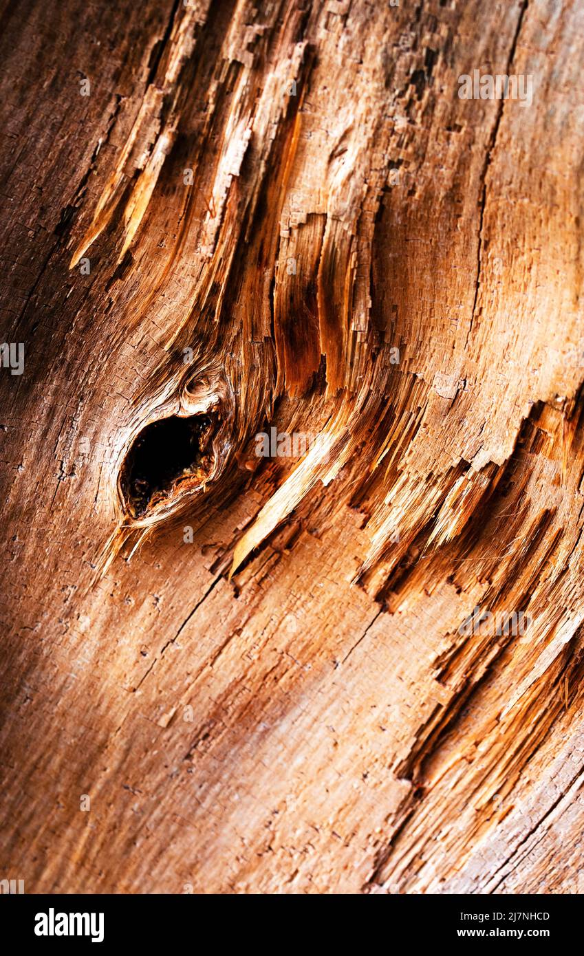 Split log structure hi-res stock photography and images - Alamy