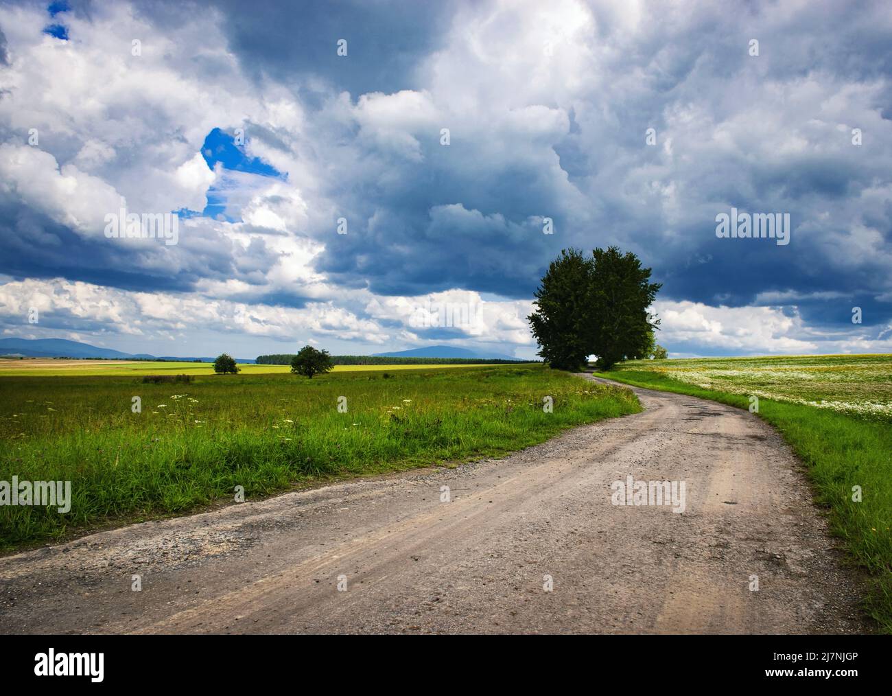 seasonal nature background dirt road in foothill summer landscape Stock