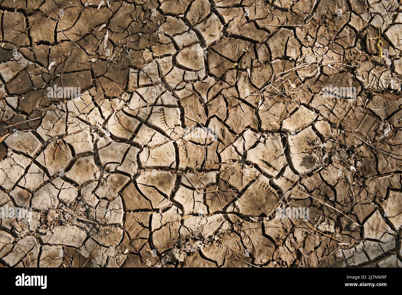 Texture of dry cracked land. Natural background. Arid climate illustration. Stock Photo