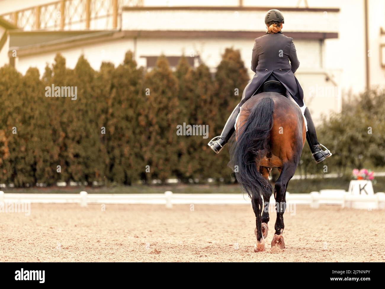 Classic Dressage horse. Equestrian sport. Equestrian competition show Stock Photo