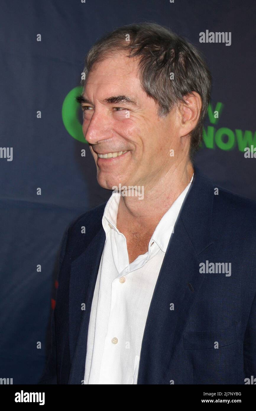 LOS ANGELES - JUL 17:  Timothy Dalton at the CBS TCA July 2014 Party at the Pacific Design Center on July 17, 2014 in West Hollywood, CA Stock Photo