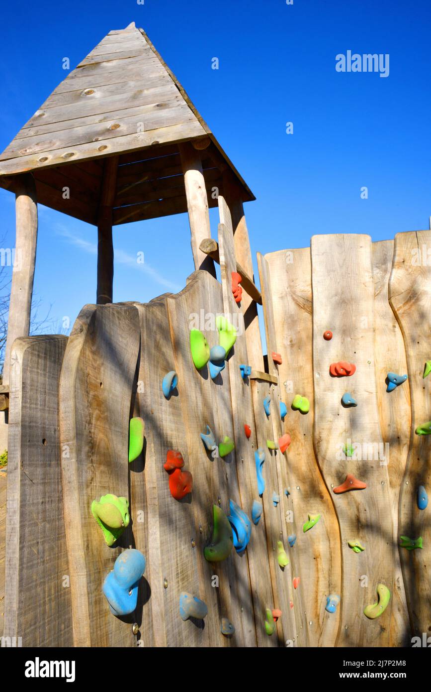 Playground with climbing tools and holders on a wood wall Stock Photo