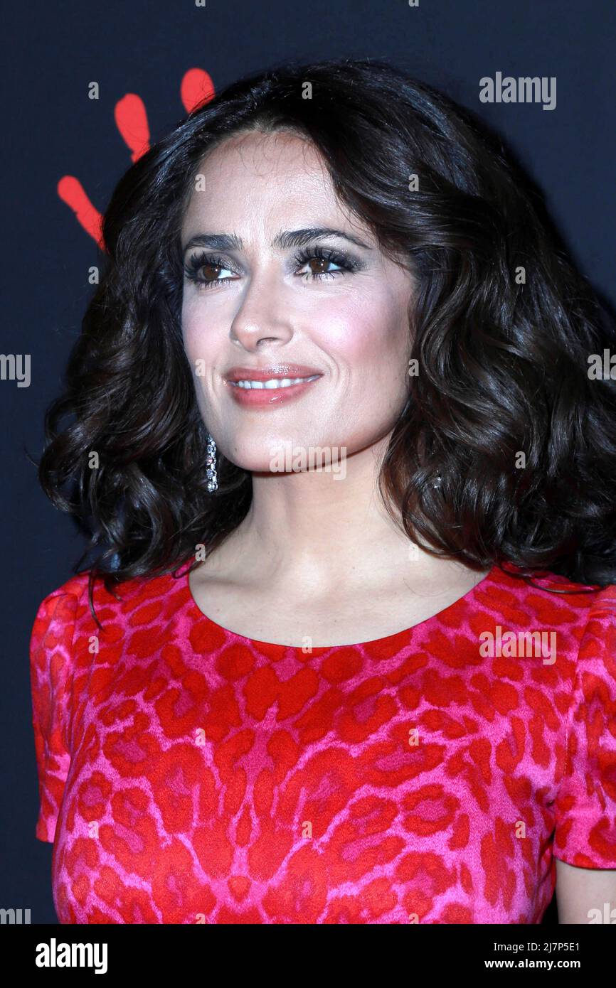 LOS ANGELES - DEC 11: Salma Hayek at the Rihanna's First Annual Diamond