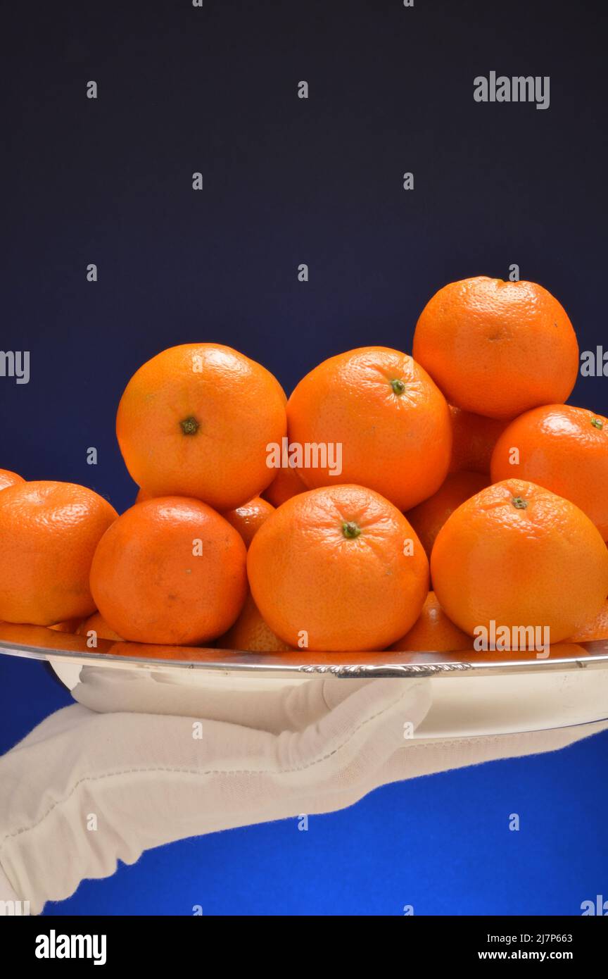 Oranges, silver platter and white gloved hand Stock Photo Alamy
