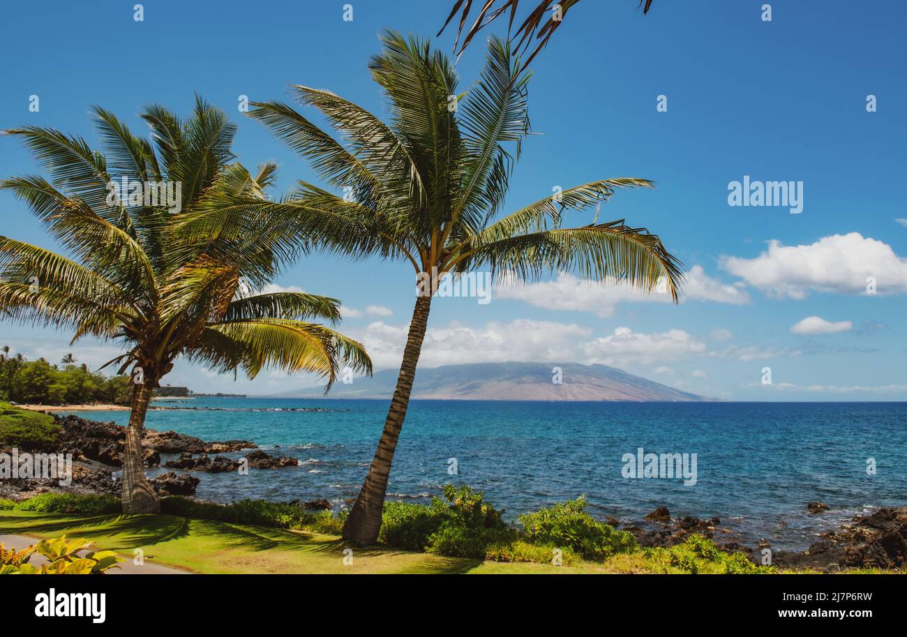 Hawaii beach, hawaiian ocean, aloha maui island. Tropical beach panorama. Stock Photo