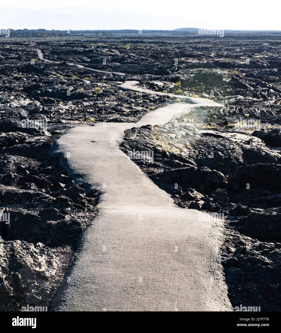 A trail paved among the black volcanic rocks of Craters of the M Stock