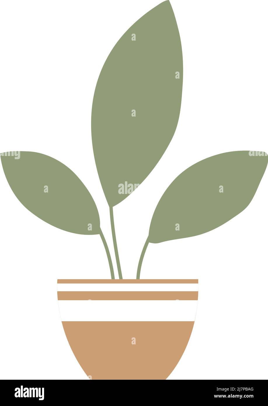 houseplant in pot garden decoration Stock Vector Image & Art - Alamy