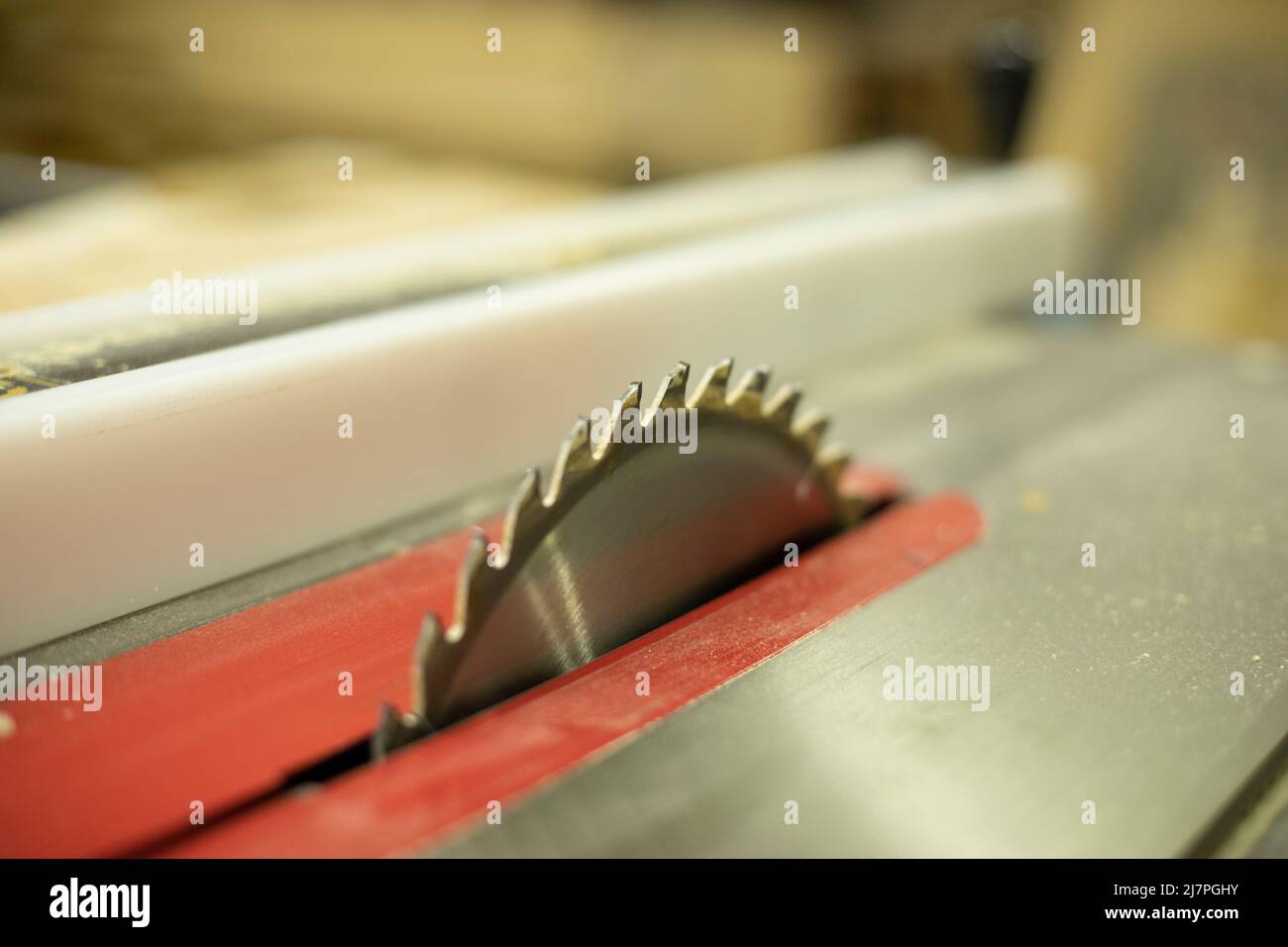 Circular saw for wood. Sharp blade. Machine for cutting boards Stock ...