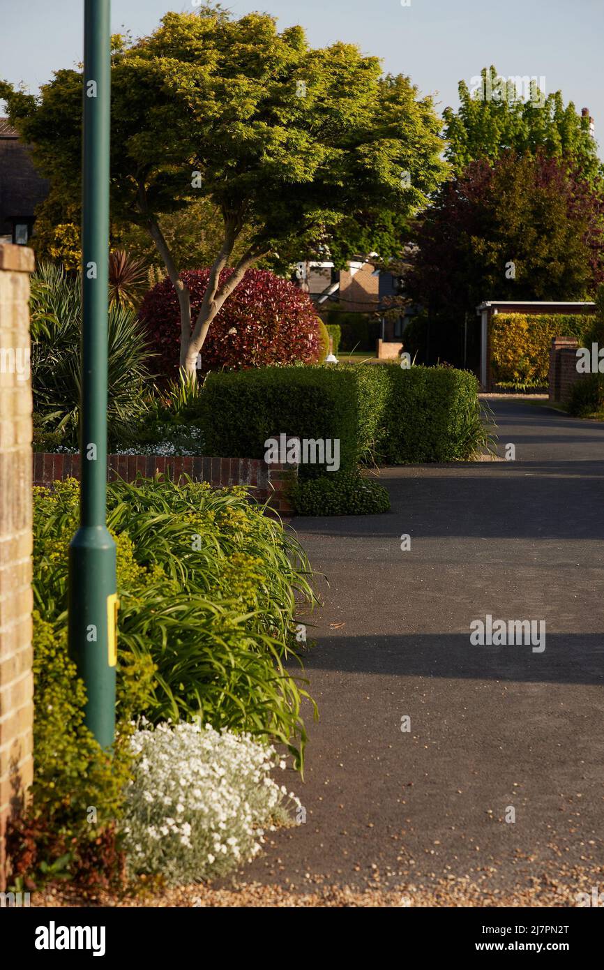 View of an urban street in a leafy suburb seen in the UK in spring. Stock Photo