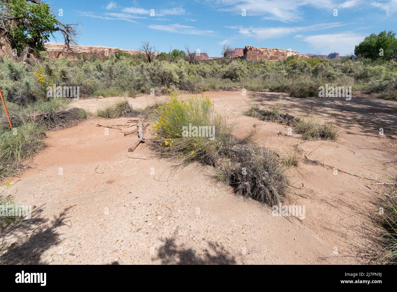Remains of the Friendship Cruise dance floor at Anderson Bottom, Canyonlands National Park, Utah. Stock Photo