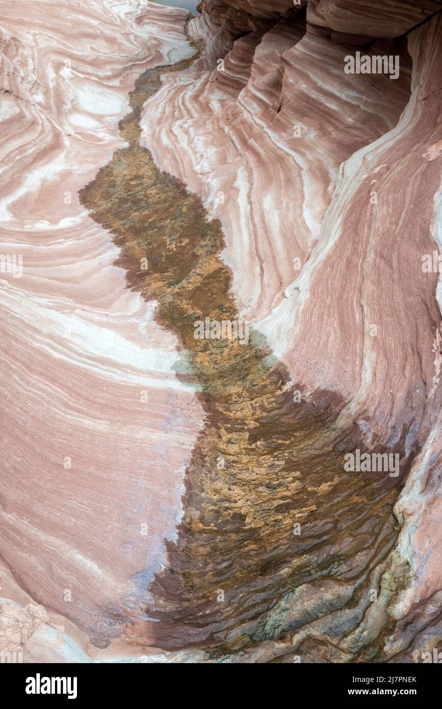 Stream flowing over patterned rock, Canyonlands National Park, Utah. Stock Photo