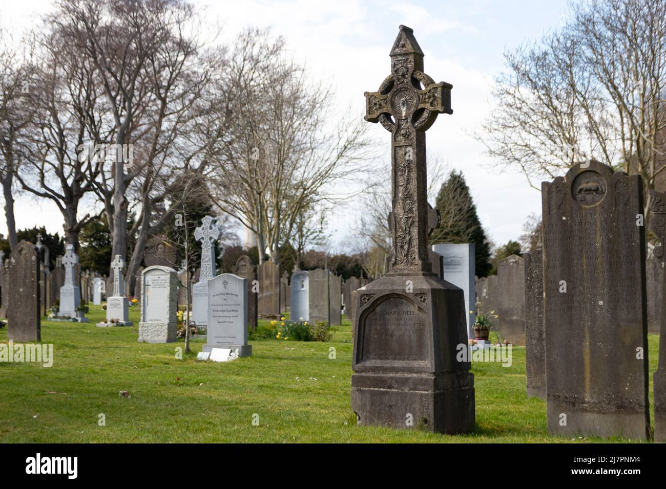 Select focus view of tombstone and gravesite at Glasnevin Cemetery Stock Photo