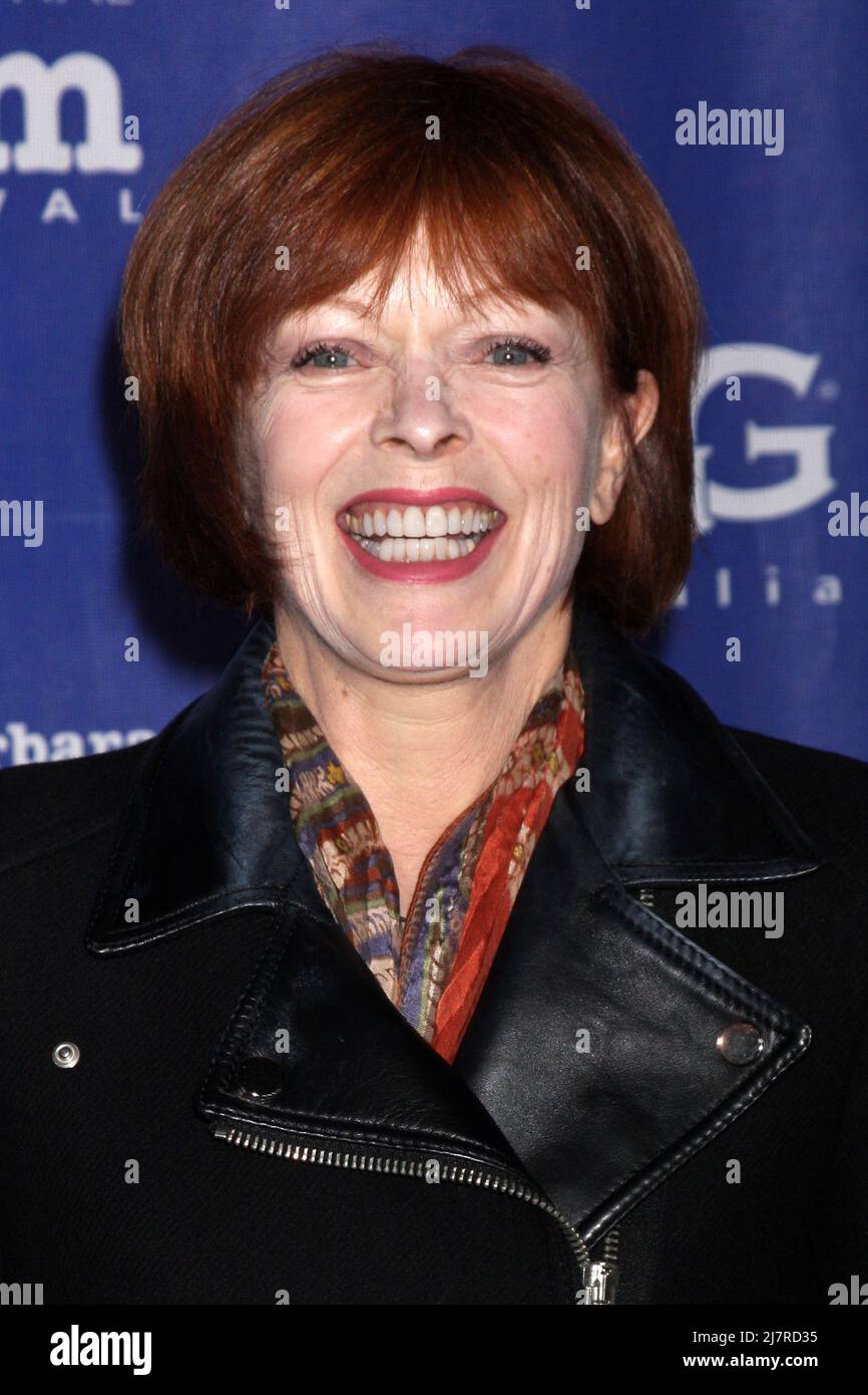 SANTA BARBARA - JAN 31:  Frances Fisher at the Santa Barbara International Film Festival Honors Outstanding Director David O. Russell at Arlington Theater on January 31, 2014 in Santa Barbara, CA Stock Photo